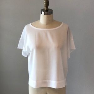 Sheer White Top